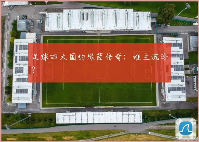 足球四大国的绿茵传奇:谁主沉浮?