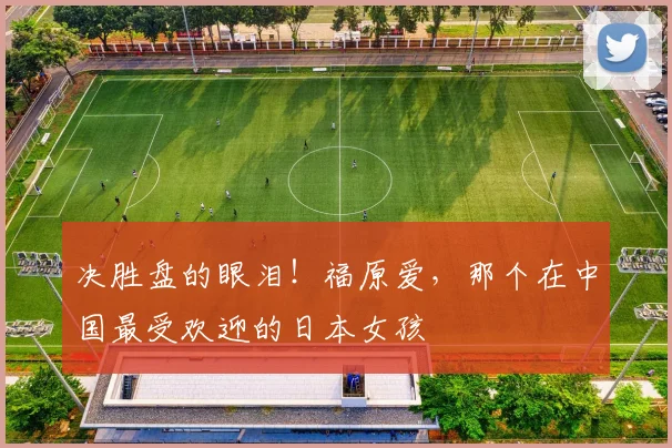 决胜盘的眼泪!福原爱,那个在中国最受欢迎的日本女孩